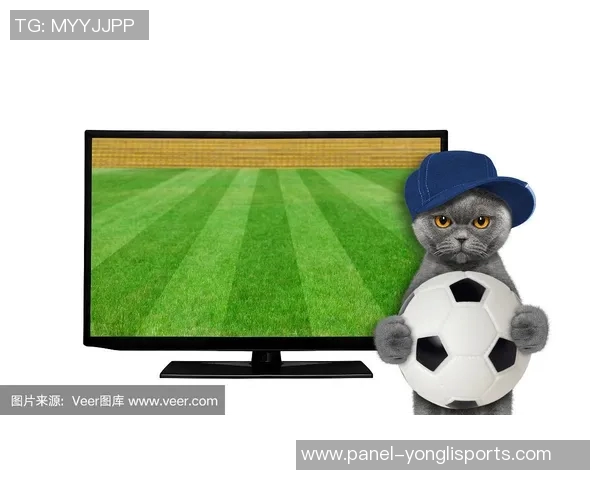 足球场上的猫咪奇遇记与球迷的温馨瞬间 足球场上的猫咪奇遇记与球迷的温馨瞬间